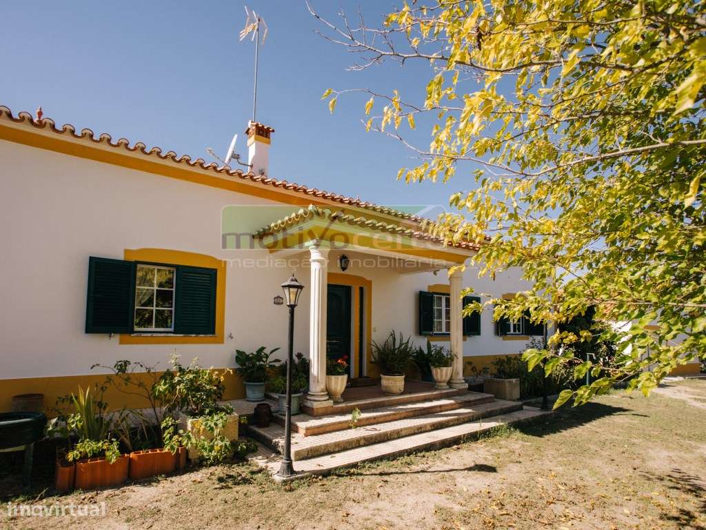 Moradia Térrea T4 em Quinta de 11.250 m² com Árvores de Fruto. Em S...-30