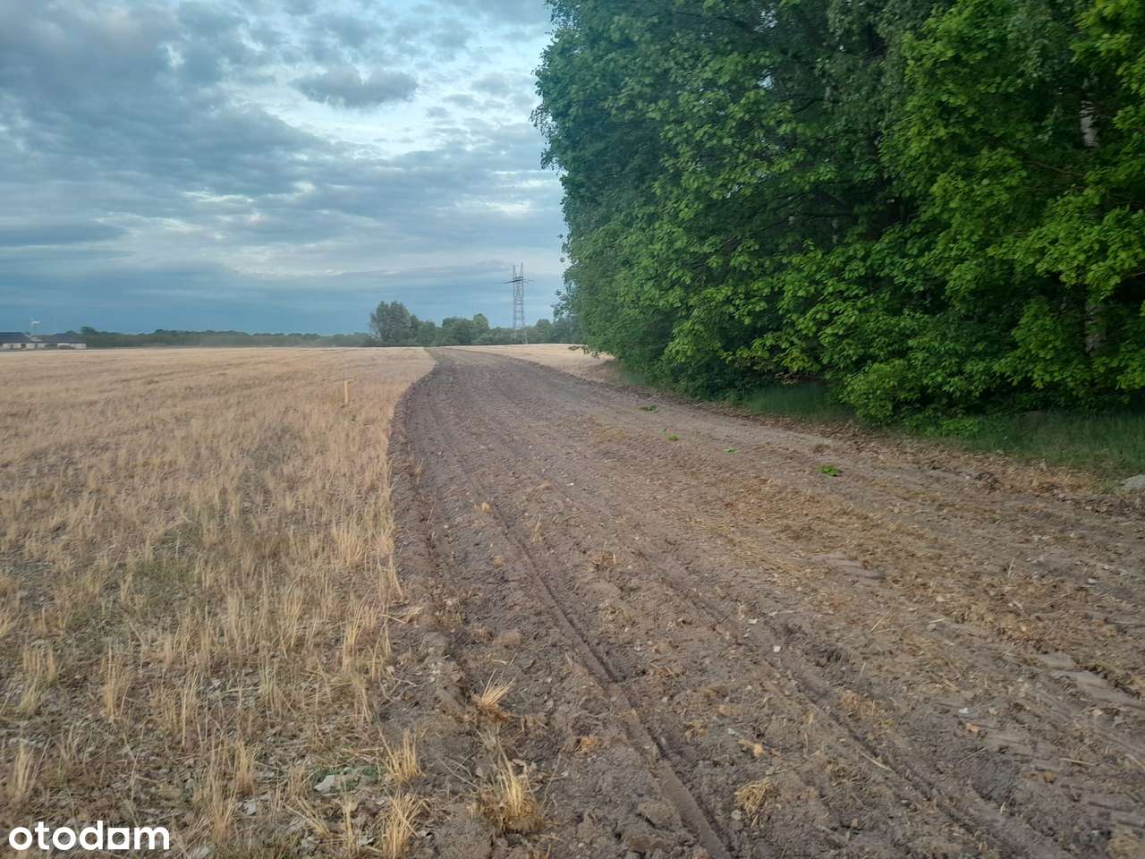 14 działek do wyboru z warunkami zabudowy w Strzelcach Górnych-7