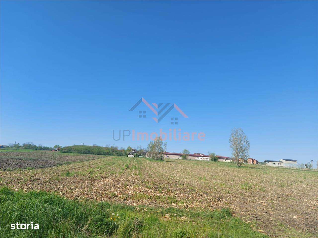 TEREN INTRAVILAN | 4300 MP | HIDISELUL DE SUS | BIHOR - Imagine principală: 4/7