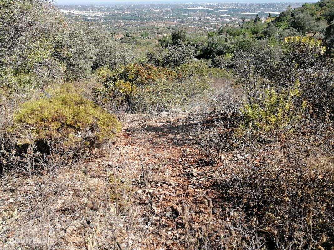 Terreno  para venda - Grande imagem: 4/11