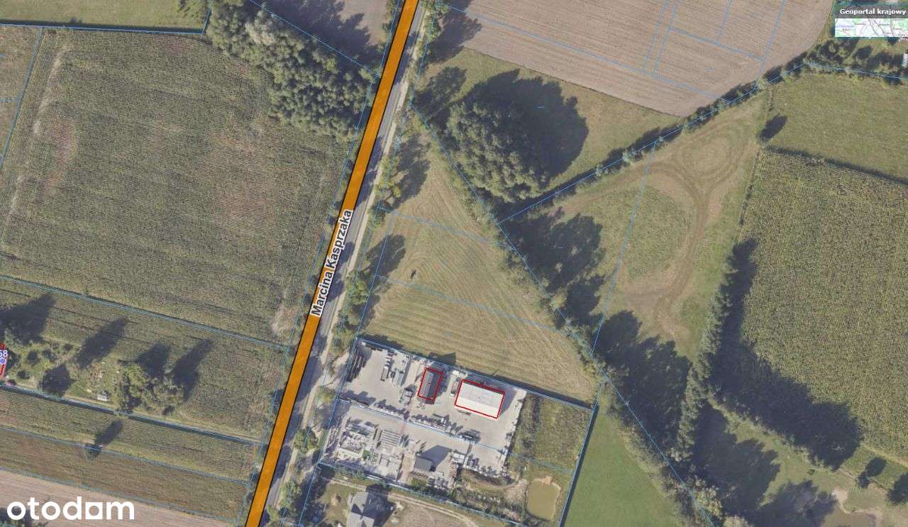 Działki inwestycyjne | Sprzedaż | 7283m2 - Pełny obrazek: 4/5