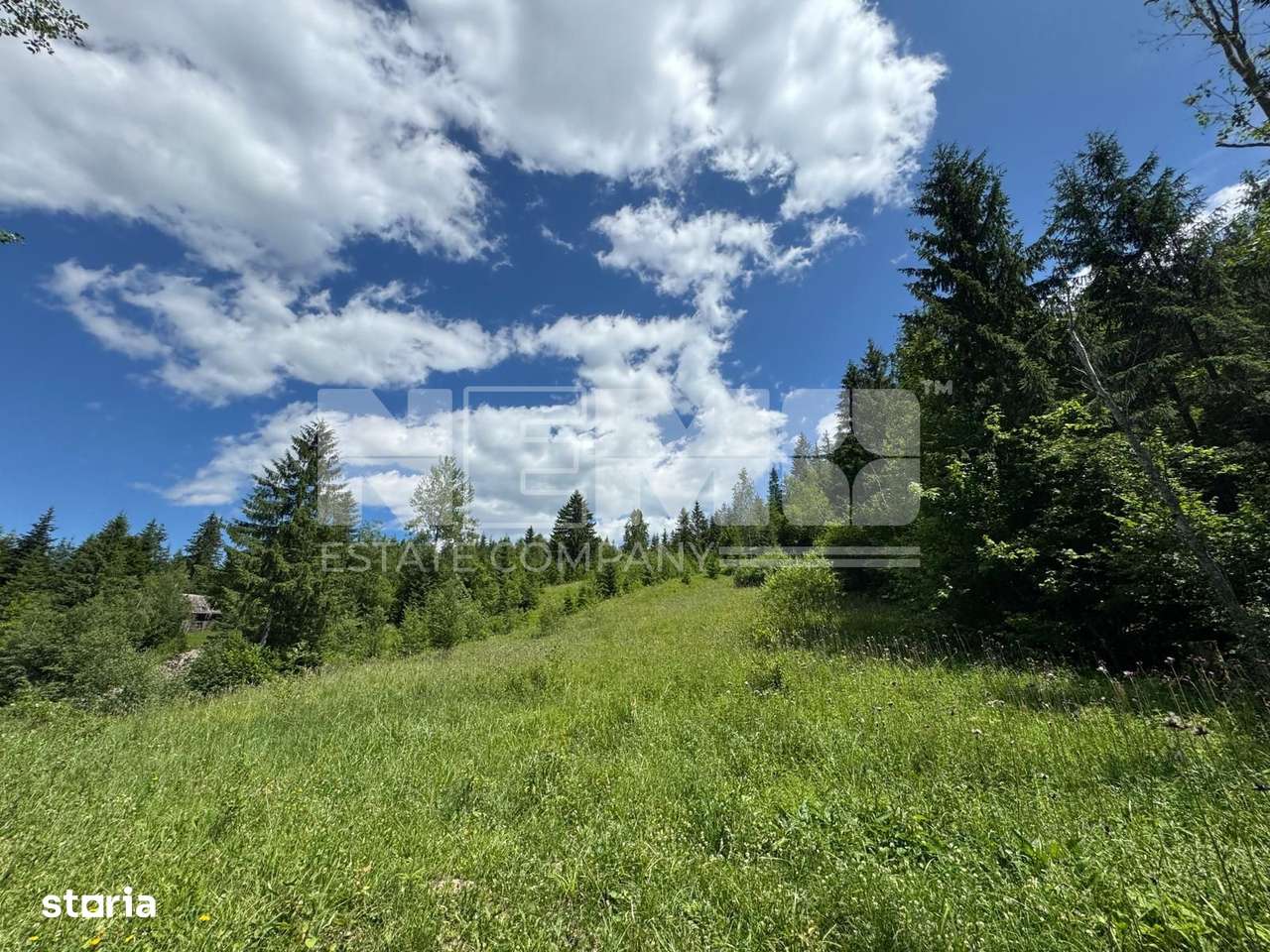 TEREN EXTRAVILAN DE VANZARE | CAMPULUNG MOLDOVENESC | 258.720€ - Imagine principală: 5/7