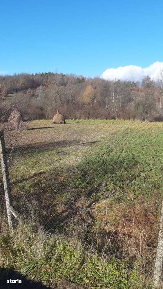 Vand teren Intravilan Loc. Capruta Com. Barzava, Jud Arad, 1674m2 ComO - Imagine principală: 5/14