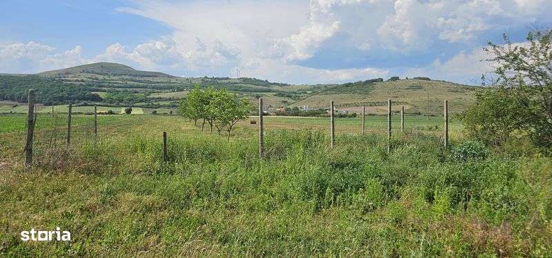 Vand teren intravilan intre Sard si Ampoita - Imagine principală: 5/5