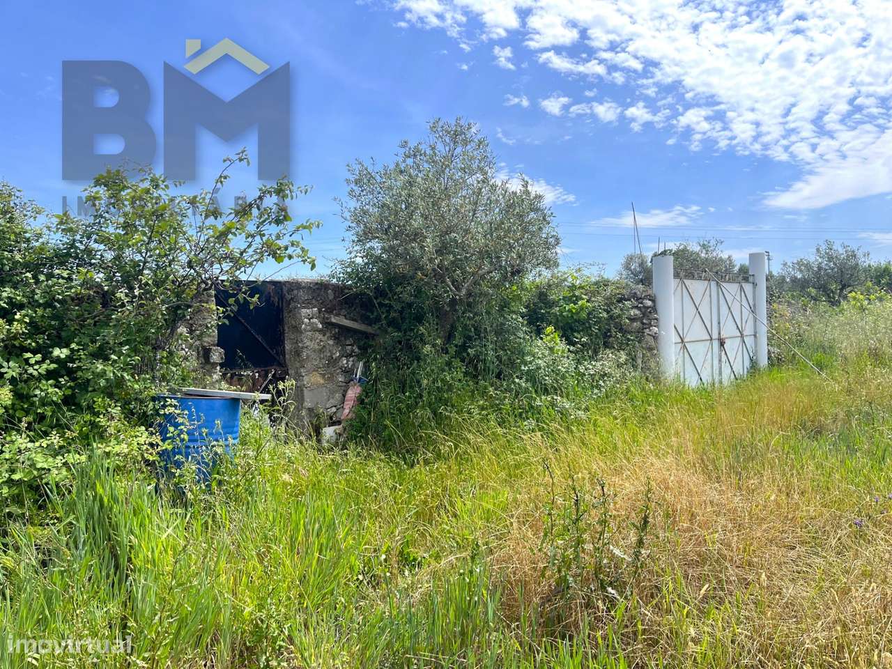 Quinta  Venda em Alcains,Castelo Branco - Grande imagem: 5/30