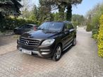 Mercedes-Benz ML 350 BlueTec 4-Matic - 3