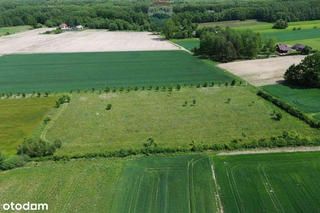 Teren 1,14 ha Korabiewice gm. Puszcza Mariańska - Pełny obrazek: 5/13