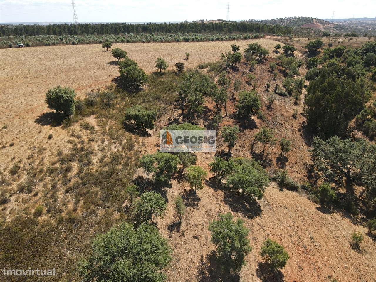 Terreno Rústico  Venda em Garvão e Santa Luzia,Ourique - Grande imagem: 5/16