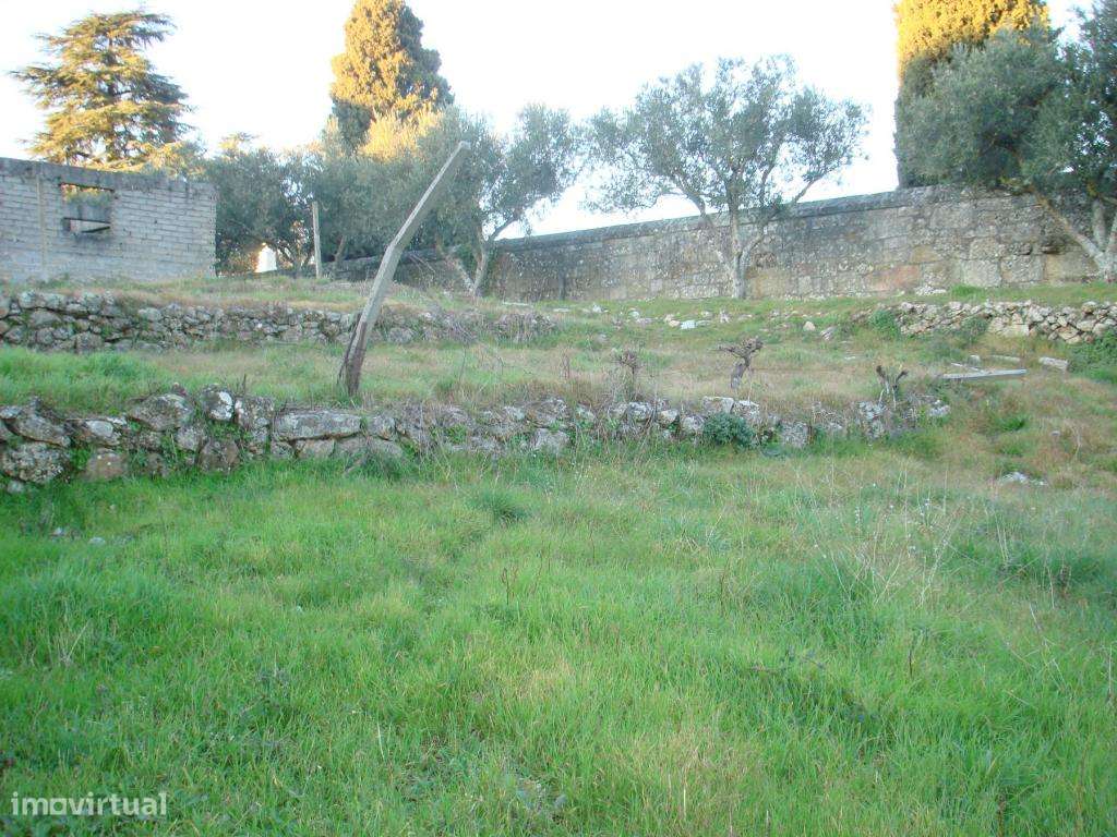 Terreno para construção - Grande imagem: 3/4