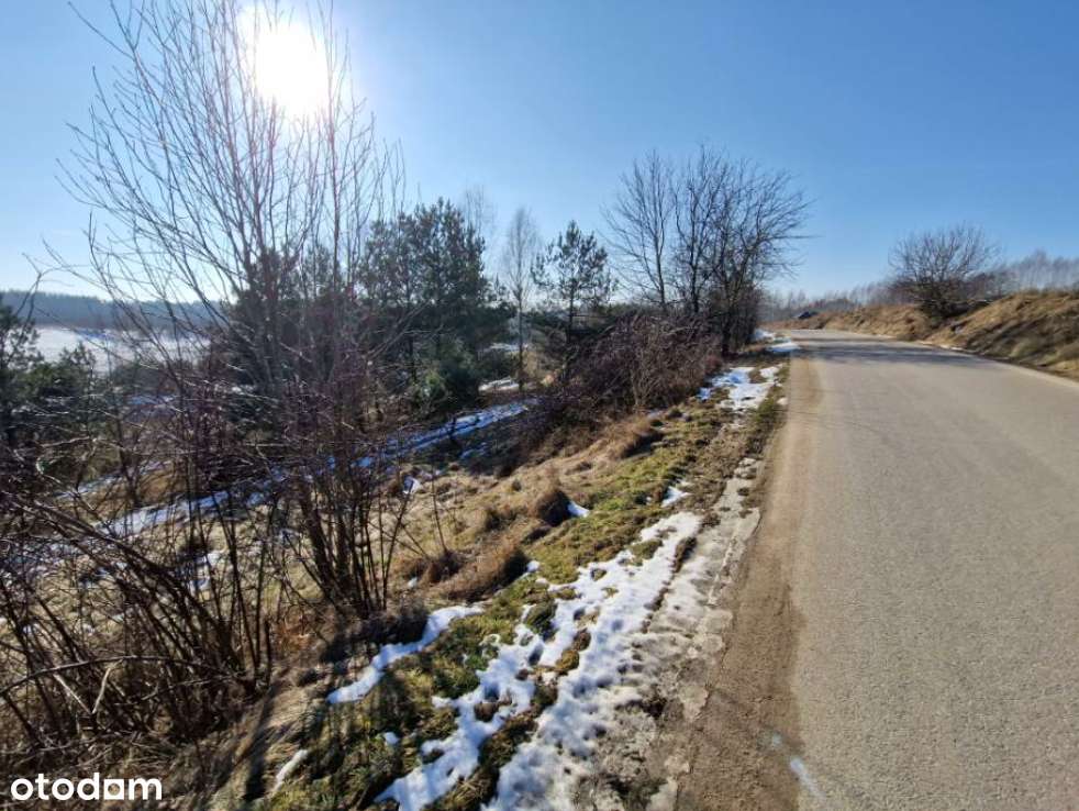 Syndyk sprzeda nieruchomość niezabudowaną - Sikorzyno - Pełny obrazek: 4/4