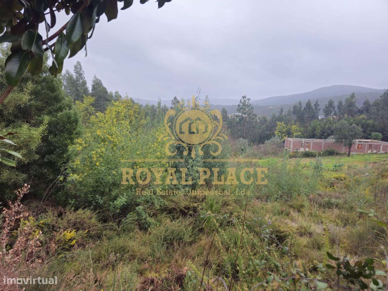 Terreno com 19.200m2, Santa Maria de Sardoura - Grande imagem: 3/12