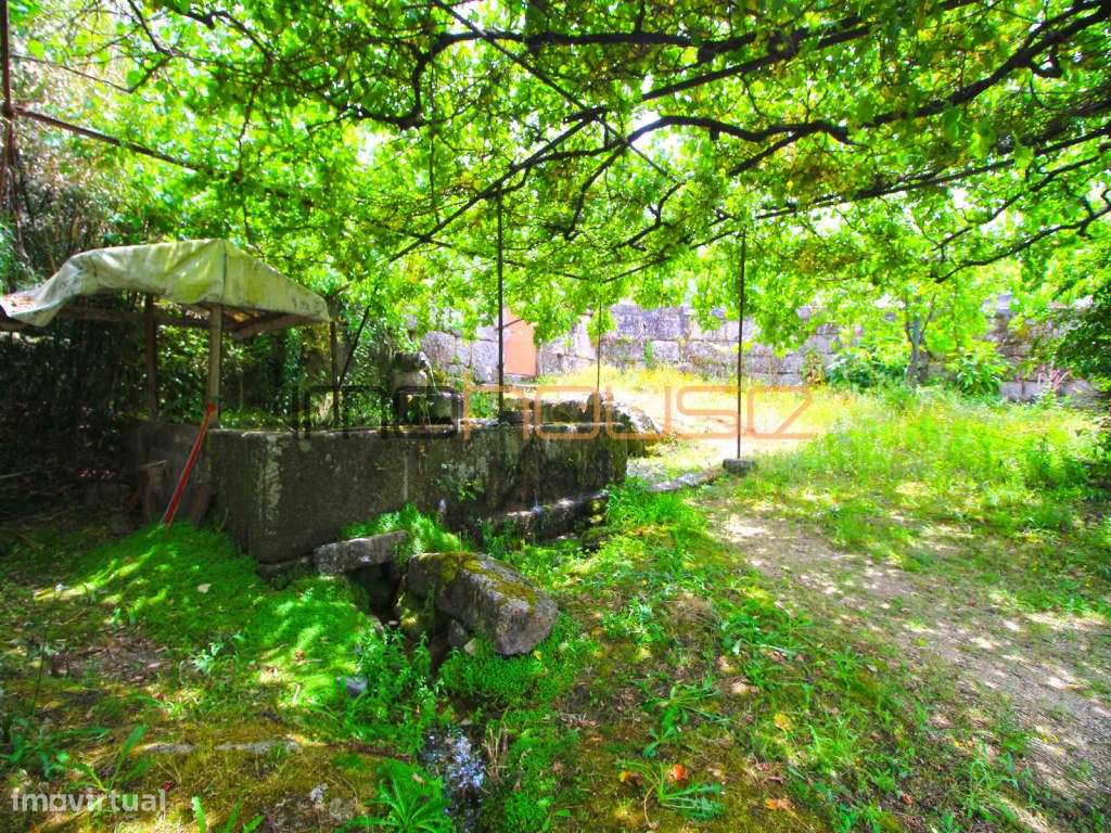 Quinta do séc. 18 - Amarante-6