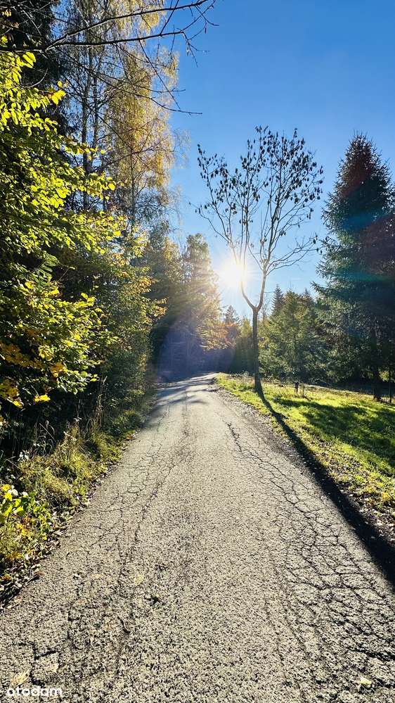 10 ar* BUDOWLANA* Przy LESIE* W GÓRACH* CICHO-5