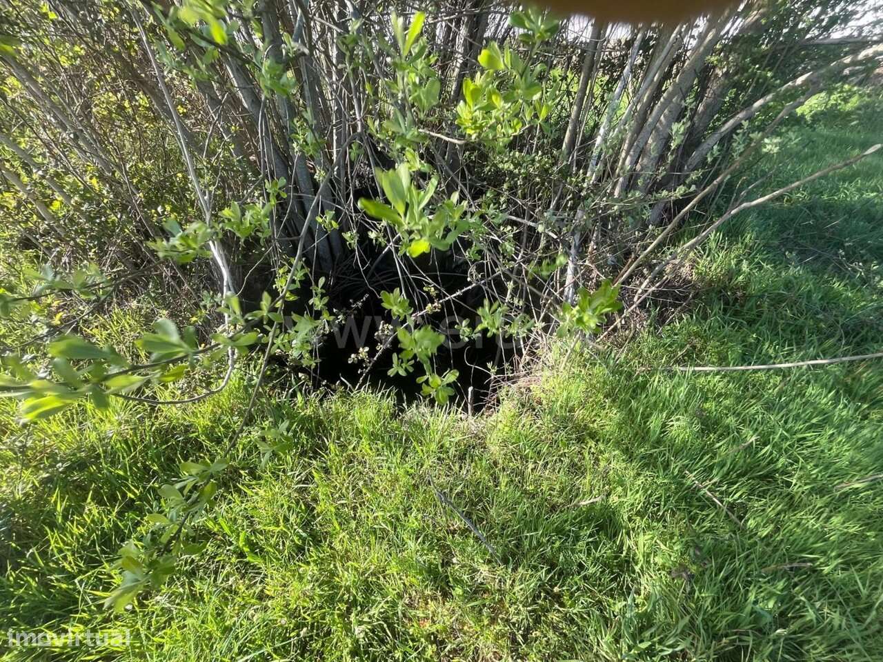 Terreno com ruina / Oliveira do Hospital, Travanca de Lagos - Grande imagem: 3/5