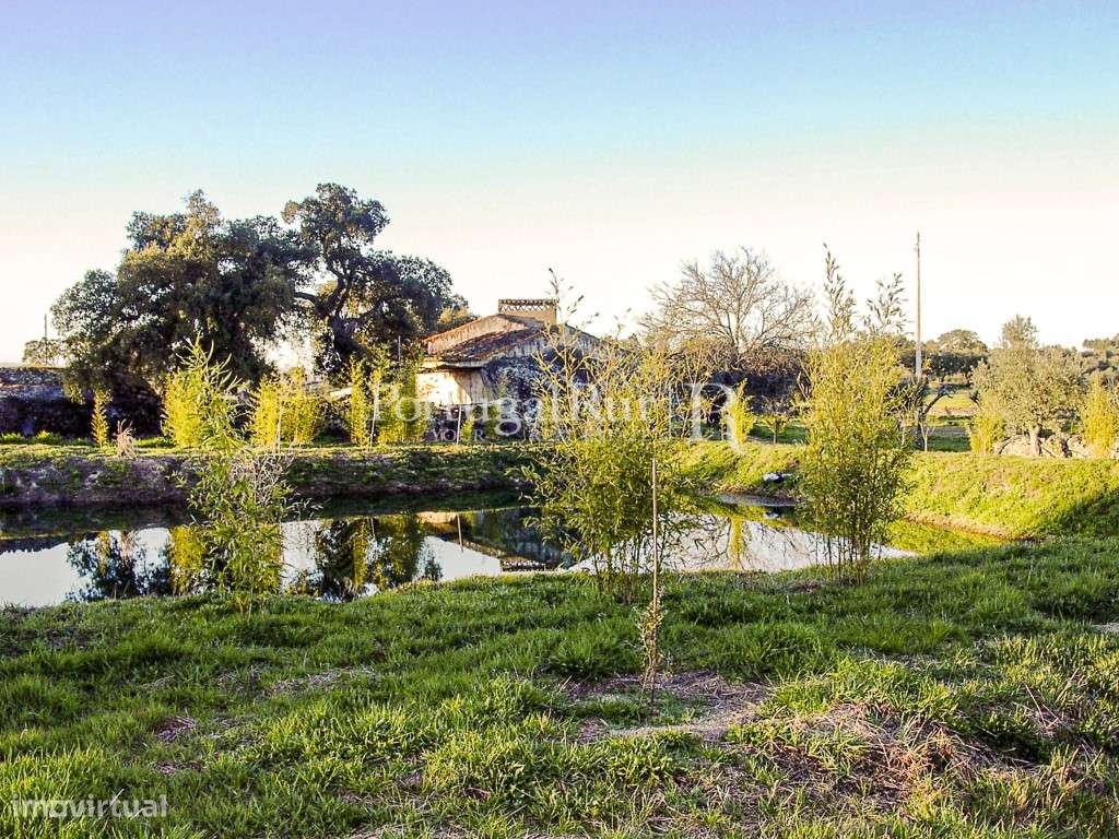 Quinta com cerca de 49.350 m2 - Grande imagem: 5/39