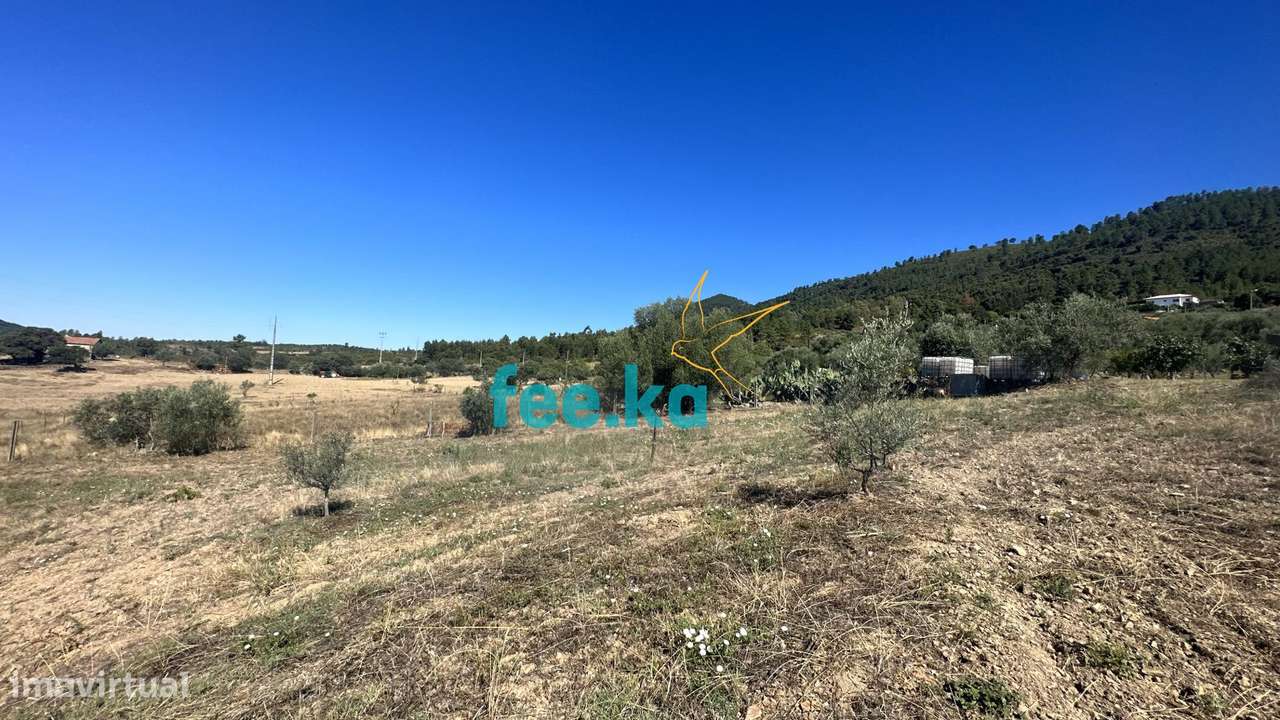 Quintinha em Monfortinho-27