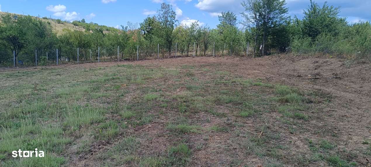 Terenuri cu suprafete intre 500 si 1500 mp in Baicoi, zona Liliesti.-15
