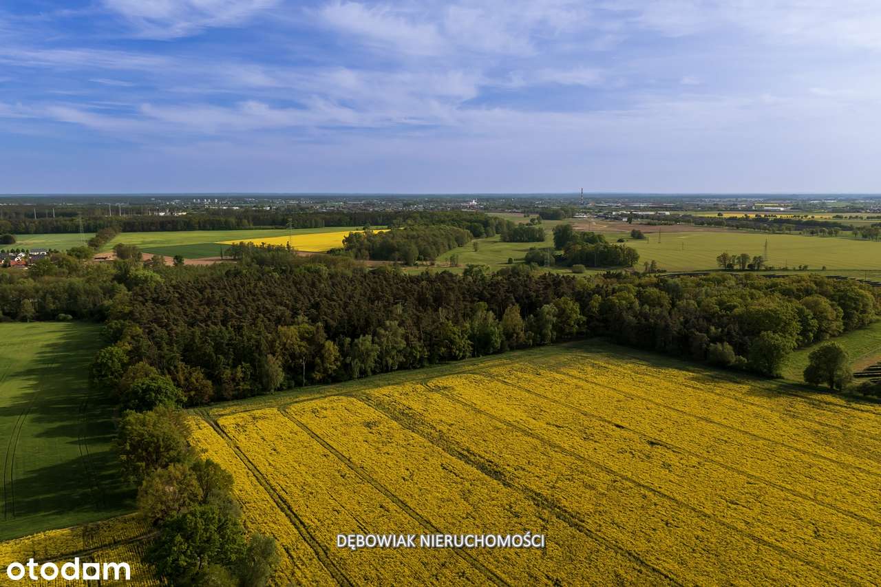 II etap sprzedaży / Atrakcyjne nowe osiedle w Gronówku / blisko Leszna-12