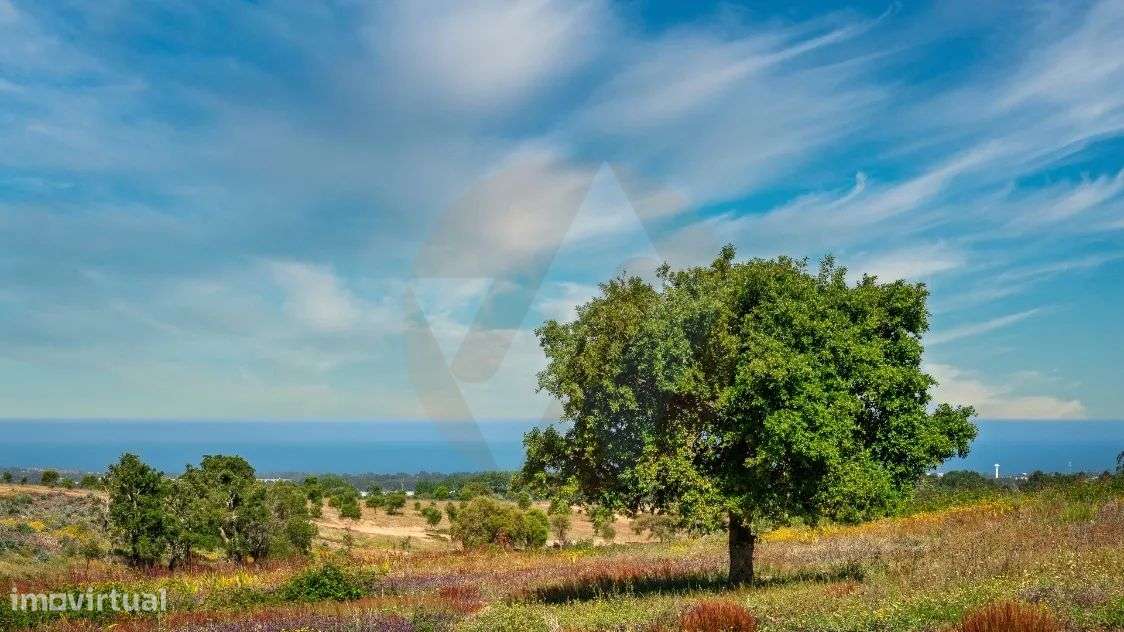 Propriedade com vistas deslumbrantes - Grande imagem: 4/18