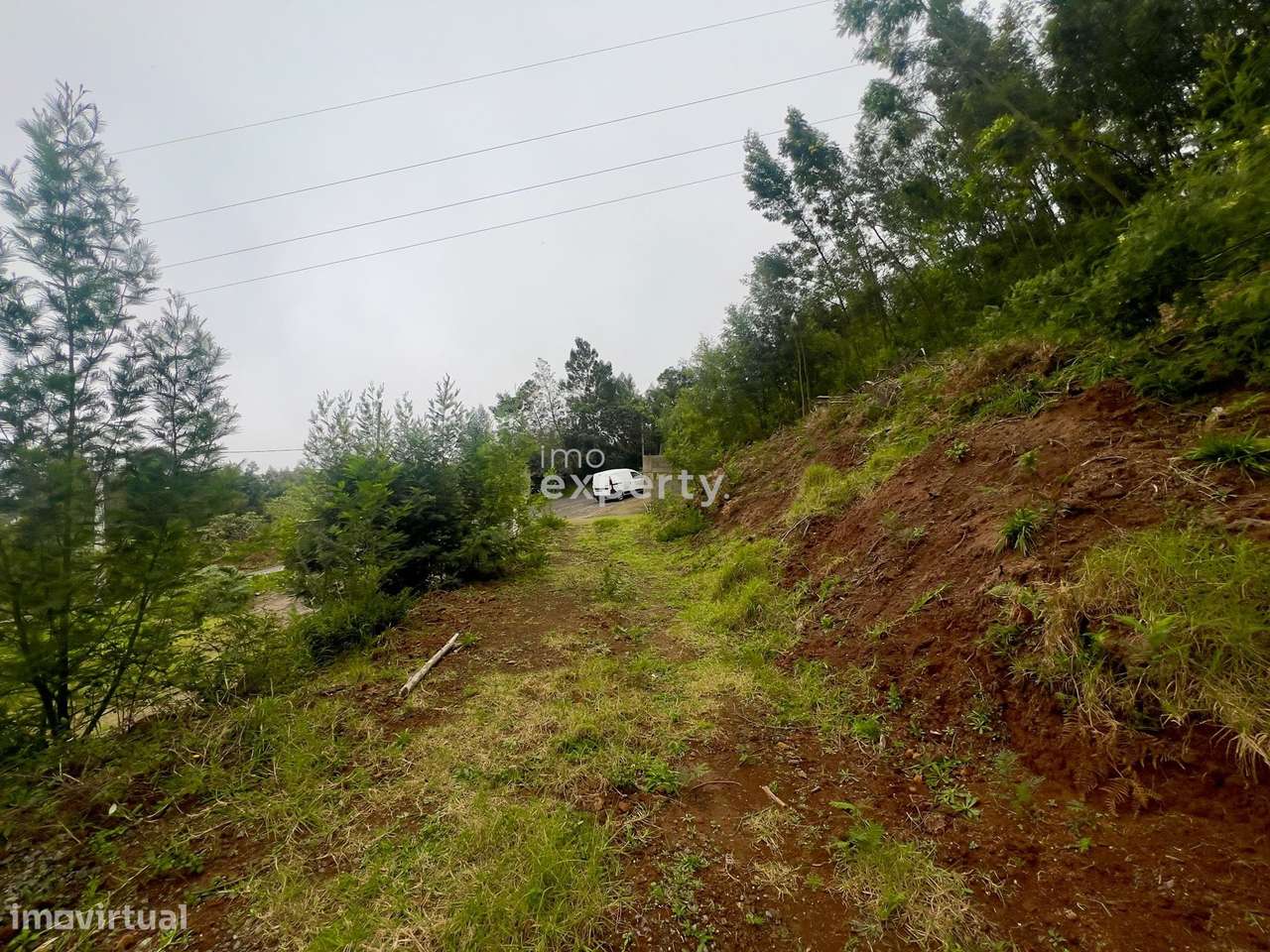Terreno rústico com 65.600m² em Água de Pena, Madeira - Grande imagem: 4/6