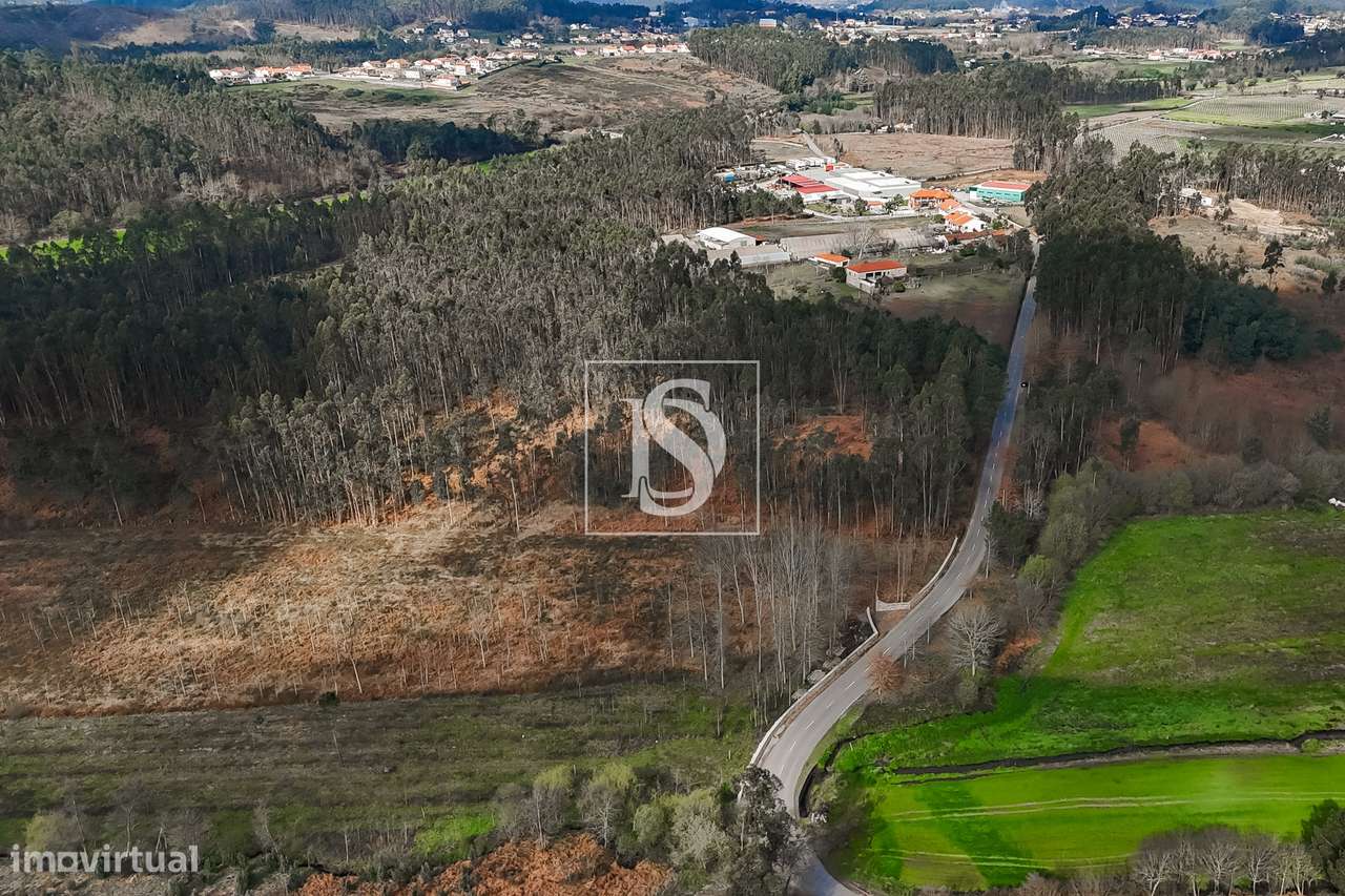Terreno Rústico  Venda em Associação de freguesias do Vale do Neiva,Po-12