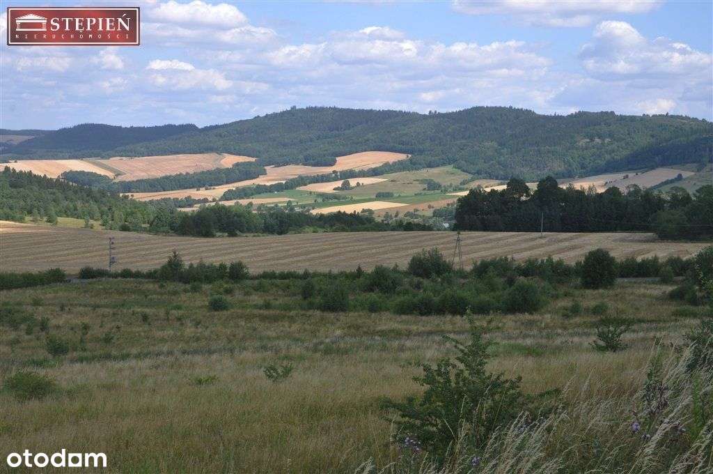 Działka, 1 590 m², Jeżów Sudecki - Pełny obrazek: 5/9