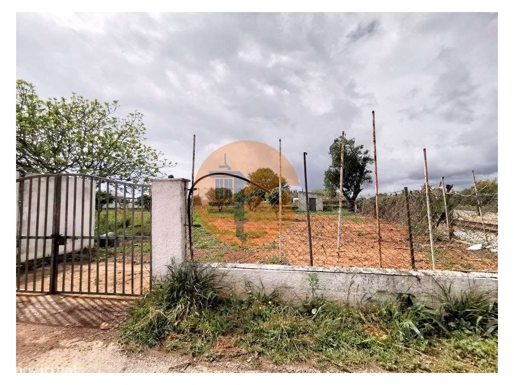 Terreno vedado com furo de água e árvores de frutos - Grande imagem: 4/14