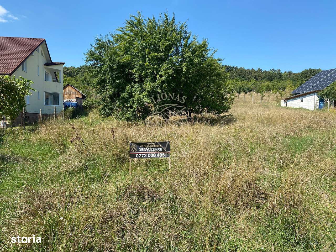 Teren intravilan 1300 mp-parcelabil-Viile cu Pomi-Unirea-Exclusiv - Imagine principală: 3/7