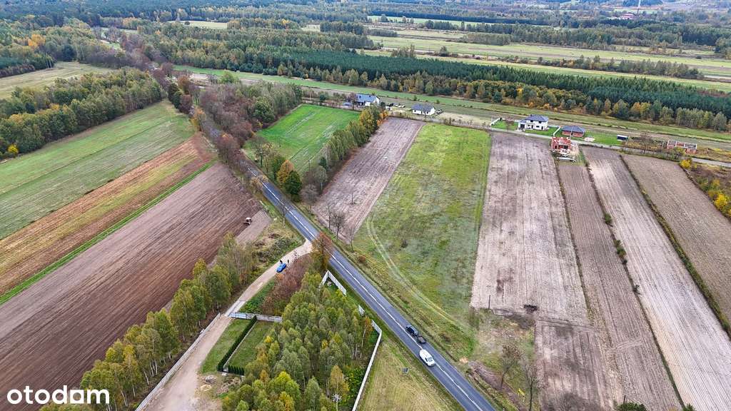 Truskolasy | Działka na sprzedaż - Pełny obrazek: 5/8