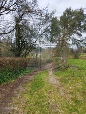 Quintinha com 2 hectares - Grande imagem: 5/47