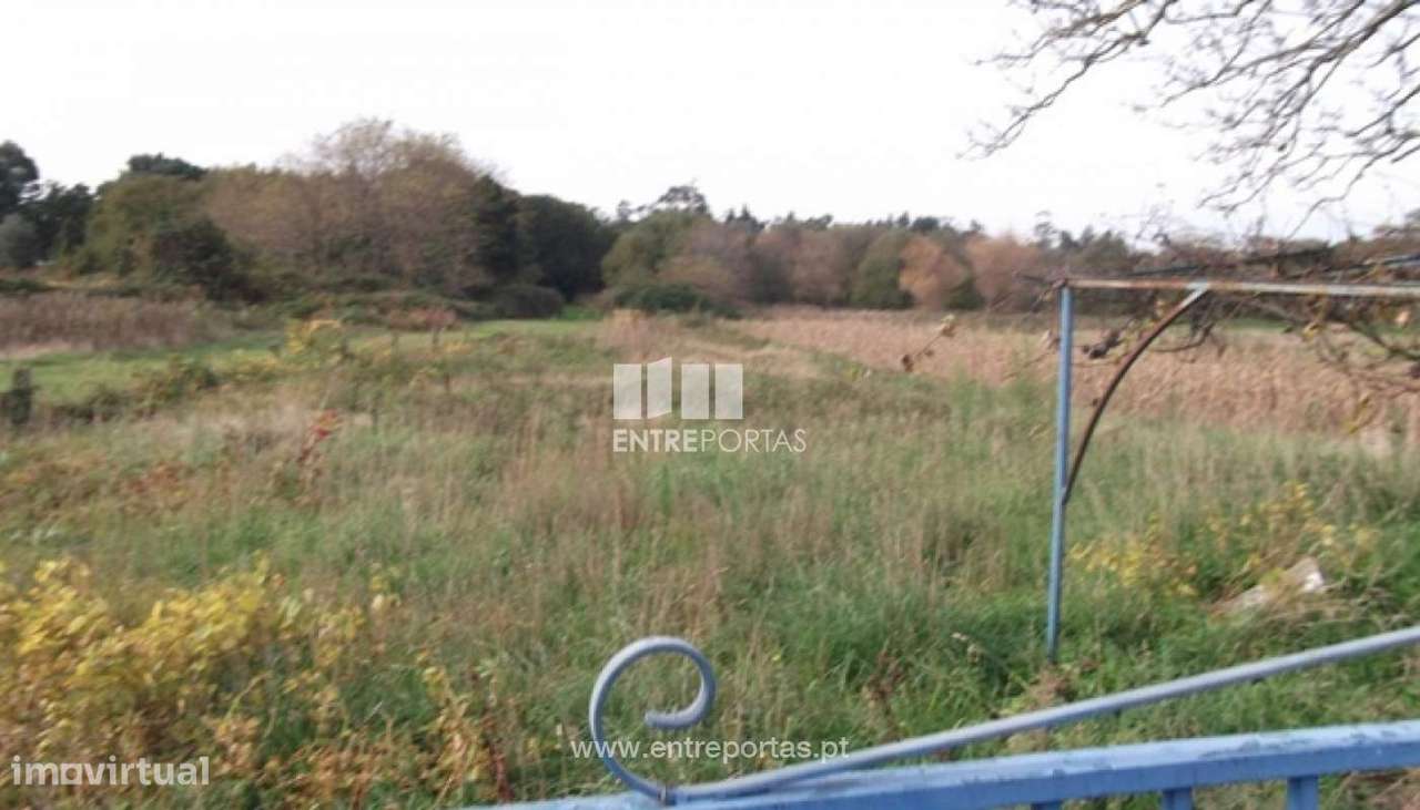 Terreno Âncora - Grande imagem: 4/7