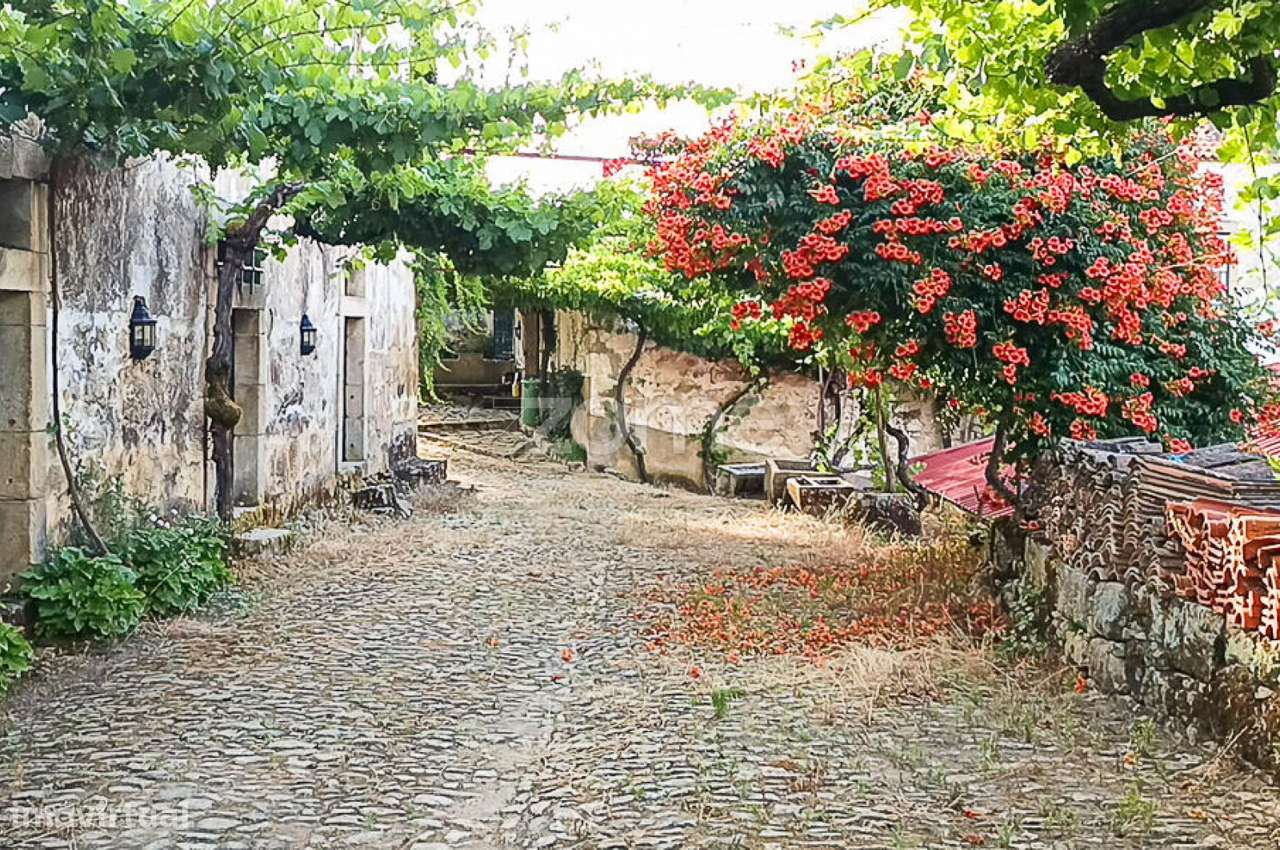 Quinta do Mosteiro de Salzedas com mais 17 ha e património histórico-8