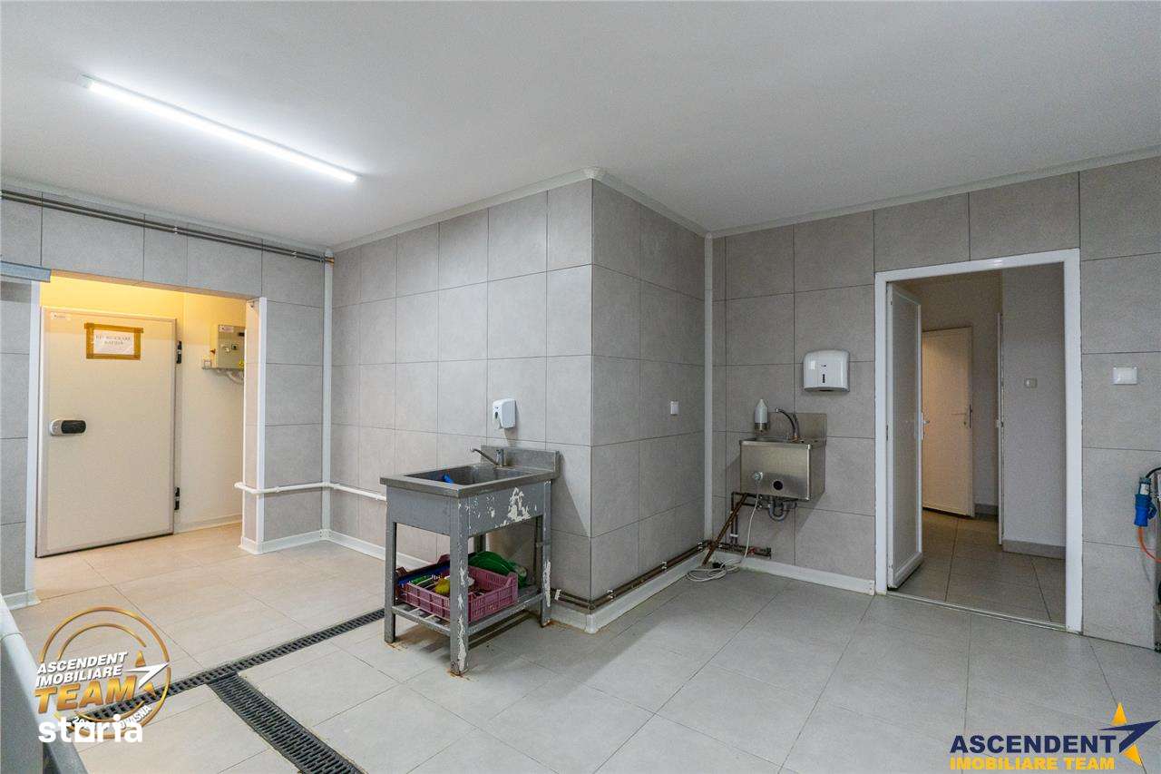 FILM! Ferma de iepuri,Malnas,Covasna: domeniu industrialcomercial,asse - Imagine principală: 4/20