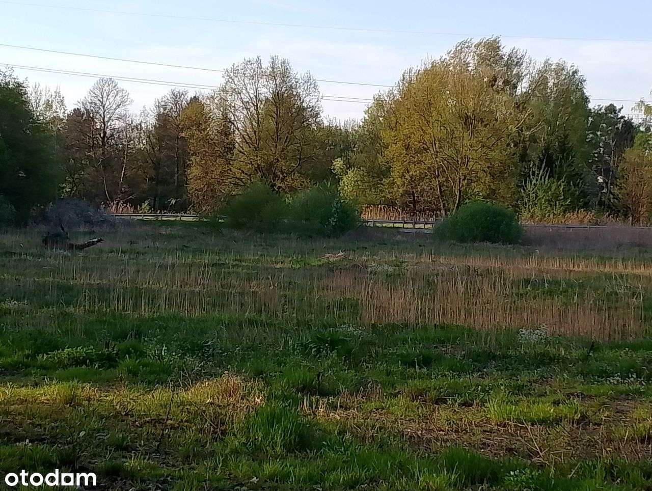 Duża działka w Podkowie Leśnej - BEZPOŚREDNIO - Pełny obrazek: 4/20