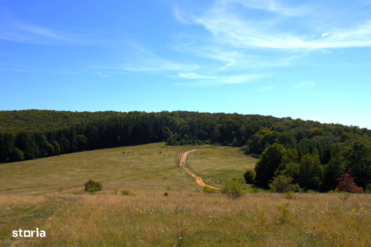 Ocazie rară 12 hectare teren extravilan,pășune sub prețul pieței-6