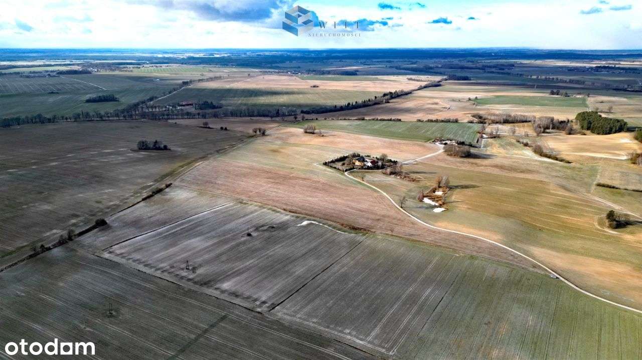 Ziemia Rolna - Pietrzwałd - Pełny obrazek: 4/13