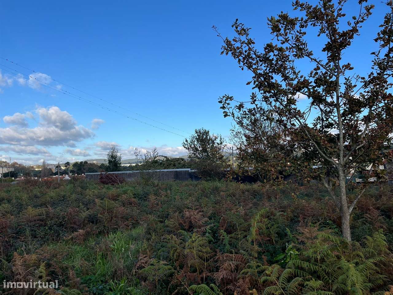 Terreno Rústico  Venda em Vila de Cucujães,Oliveira de Azeméis - Grande imagem: 4/7