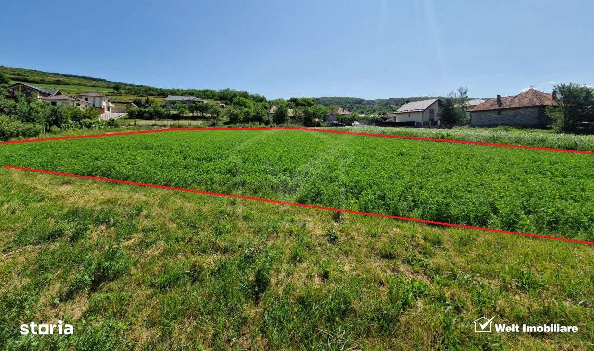 Teren intravilan 2000 mp – Popesti (Baciu) Ideal pentru casa, gradin - Imagine principală: 5/7