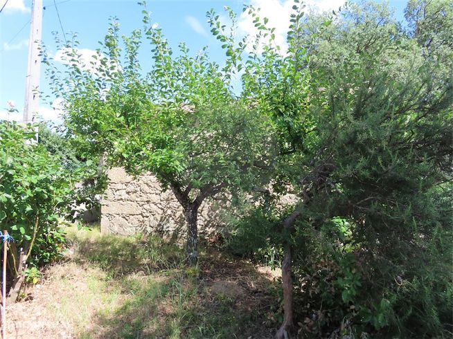 Quinta  para venda-3