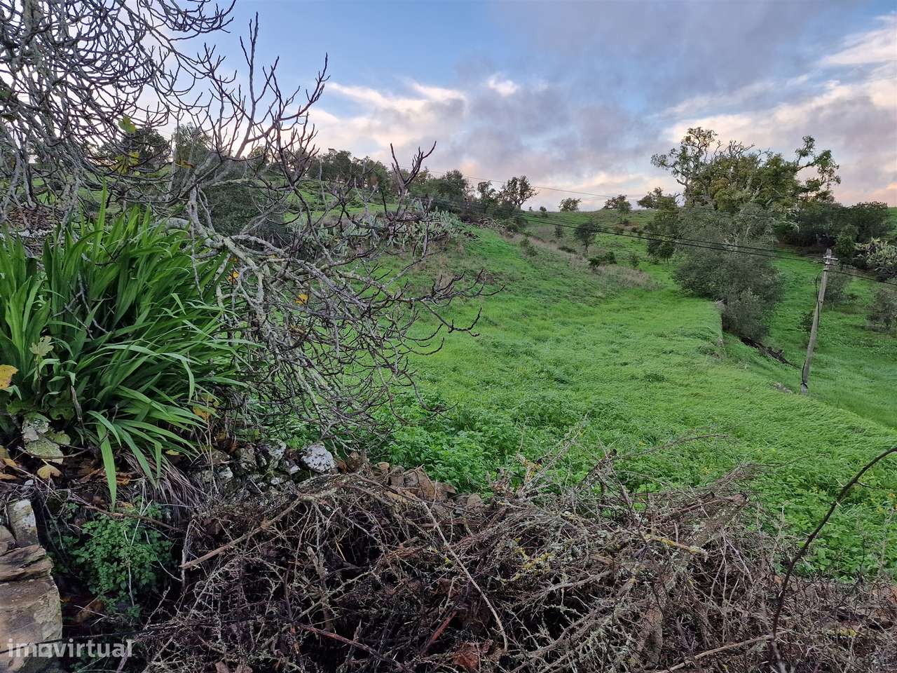 Terreno Rústico  Venda em Santa Cruz,Almodôvar - Grande imagem: 4/5