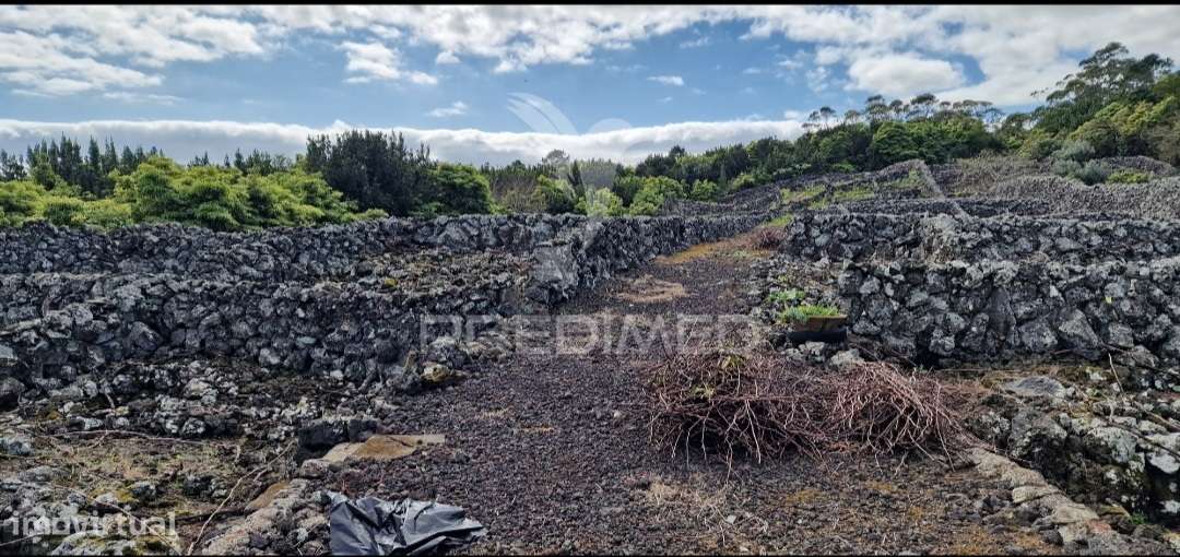 Terreno Porto Martins - Ilha Terceira - Grande imagem: 5/20