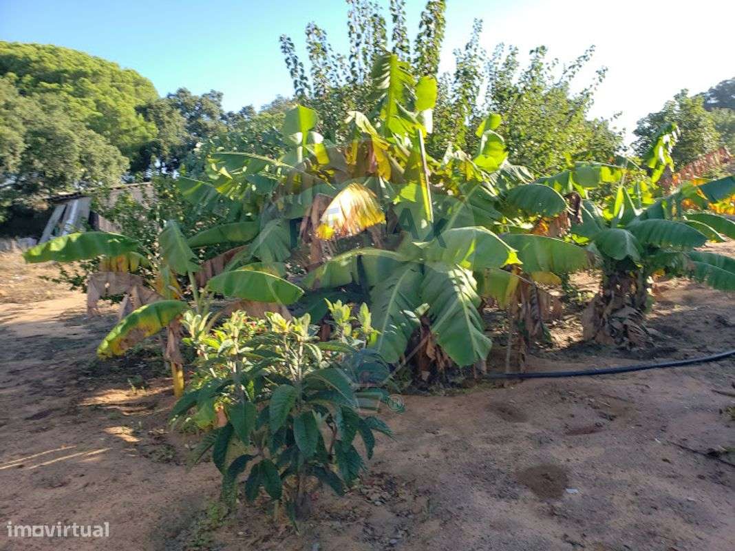 Terreno  para venda - Grande imagem: 5/7