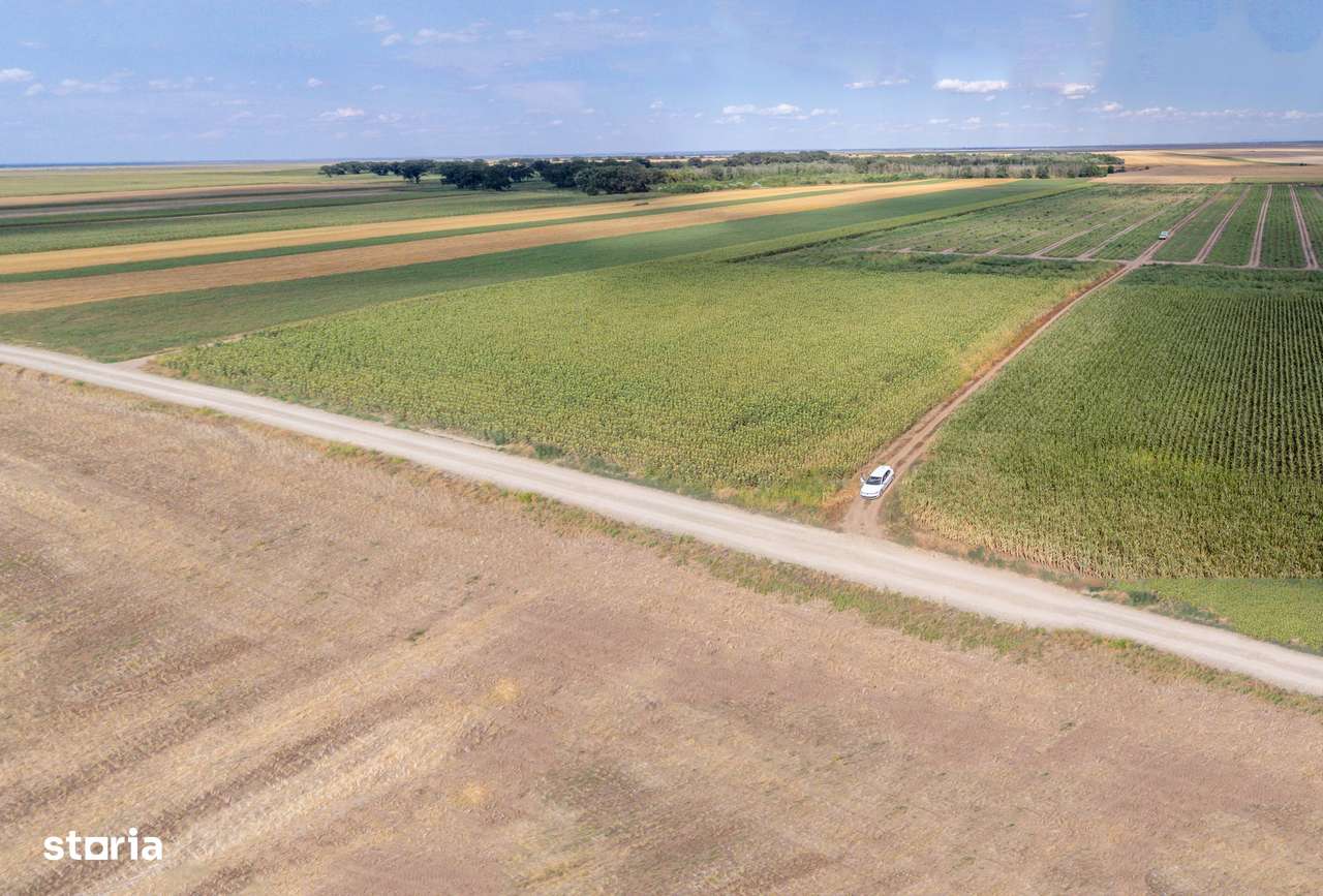 Teren agricol extravilan 2.6 ha - 26.000 mp - Valcelele, Buzau-9