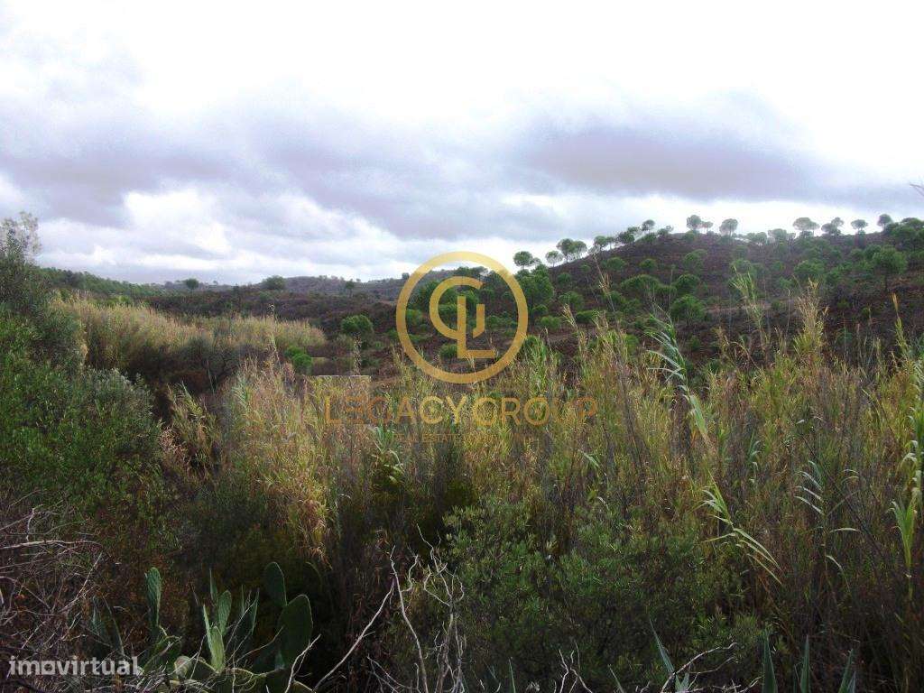 Terreno rústico no Barranco Maria Galega – Alcoutim-3