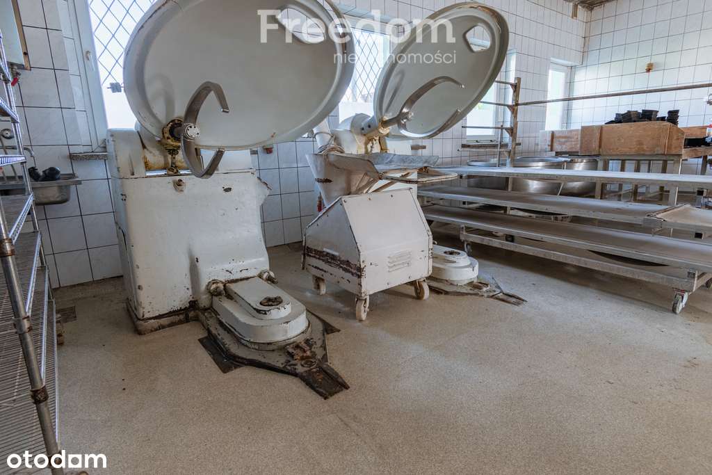 Lokal produkcyjno-usługowy na sprzedaż - Pełny obrazek: 5/10