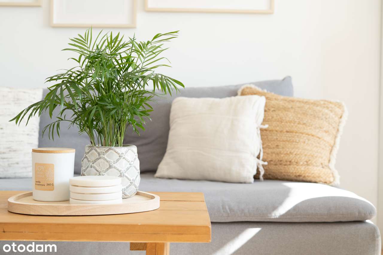 Gotowe do zamieszkania mieszkanie w centrum miasta - Pełny obrazek: 3/19