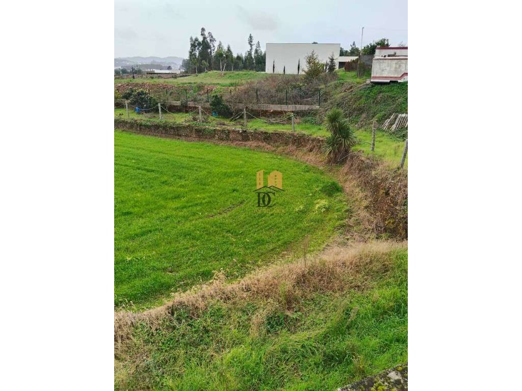 Terreno para construção - Ribeirão - Grande imagem: 2/6