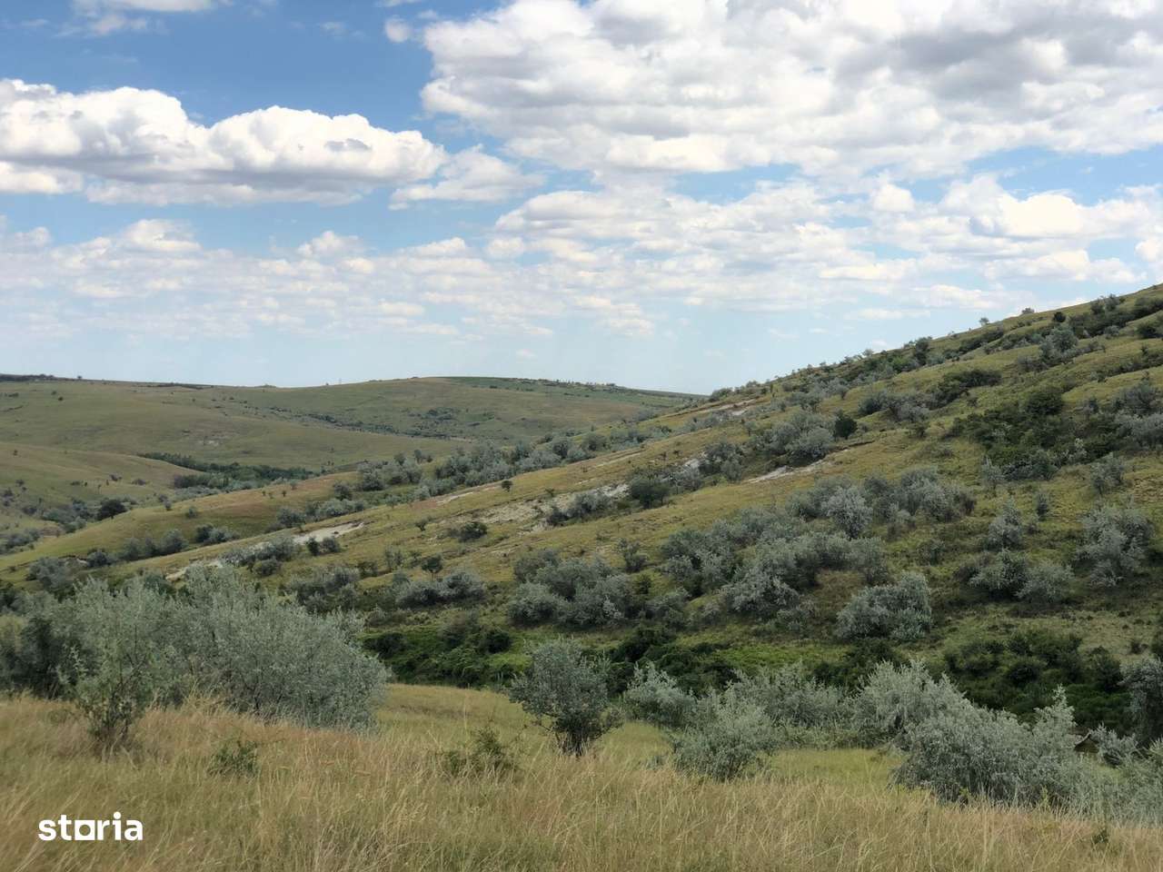 Vanzare 50 Ha pasune, judetul Prahova - Imagine principală: 4/14