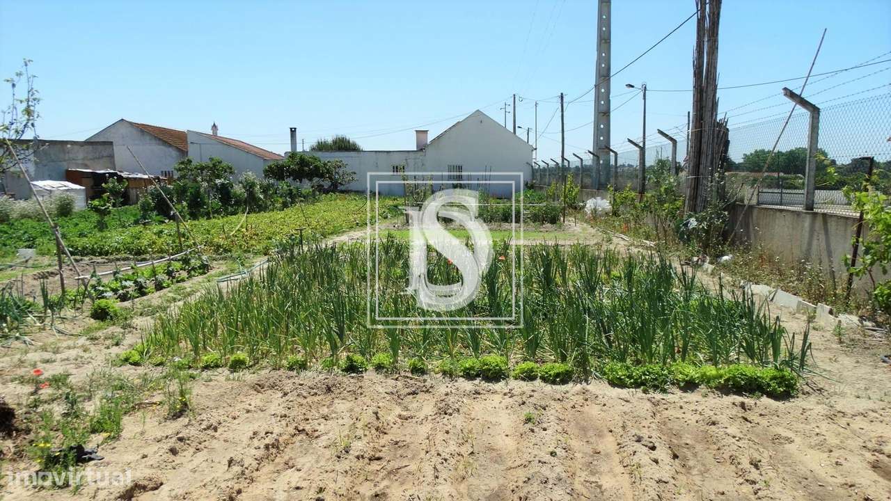 Terreno rústico em Montijo - Grande imagem: 3/10