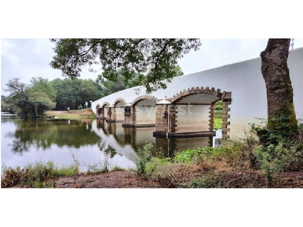 Espetacular Terreno propicio para construção e cultivo em Mamodeiro - Grande imagem: 5/12